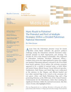 Many Roads to Palestine? The Potential and Peril of Multiple