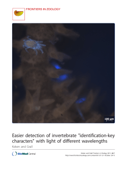 Easier detection of invertebrate "identification