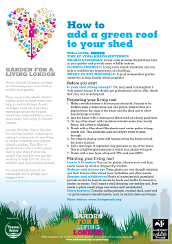 How to add a green roof to your shed