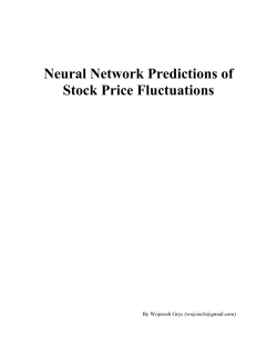 Neural Network Predictions of Stock Price Fluctuations