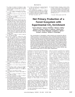 Net Primary Production of a Forest Ecosystem with