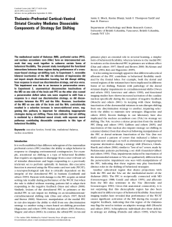 Thalamic--Prefrontal Cortical--Ventral Striatal