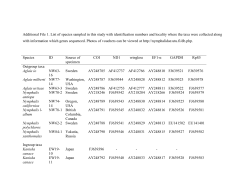 Timing major conflict between mitochondrial and nuclear genes in