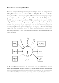 Thermodynamic analysis of photosynthesis