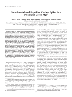 Strontium-Induced Repetitive Calcium Spikes in a Unicellular Green