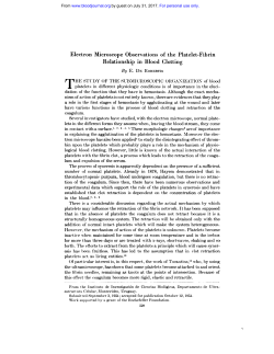 Electron Microscope Observations of the Platelet