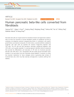Human pancreatic beta-like cells converted from fibroblasts