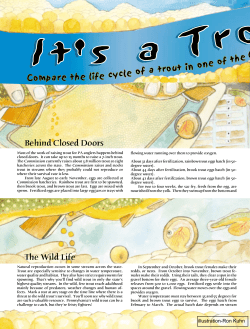 It`s a Trout`s Life - Fish and Boat Commission
