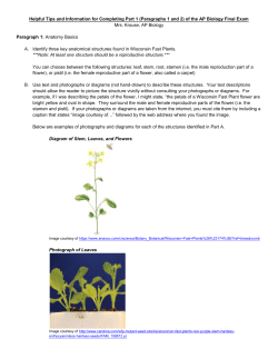 Helpful Tips and Information for Completing Part 1 (Paragraphs 1