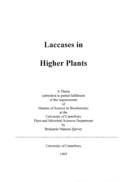 Laccases in higher plants - University of Canterbury