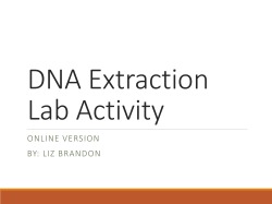 DNA Extraction Lab