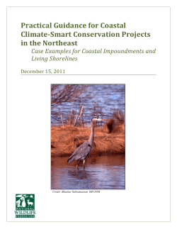 Practical Guidance for Coastal Climate