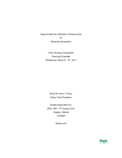 Fekete YEC Charrette Submission Natural Gas ver 2.0