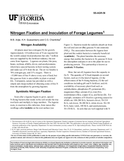 Nitrogen Fixation and Inoculation of Forage Legumes