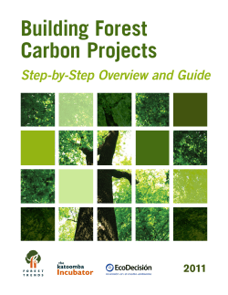 Building Forest Carbon Projects