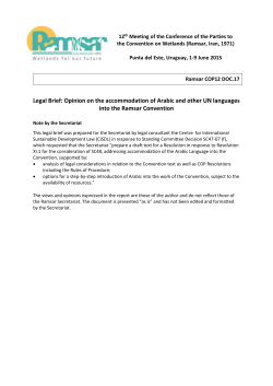 Opinion on the accommodation of Arabic and other UN