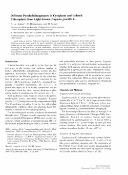 Different Porphobilinogenases in Cytoplasm and
