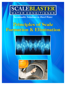 Principles of Scale 2016.cdr