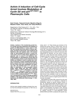 Activin A Induction of Cell-Cycle Arrest Involves Modulation of Cyclin