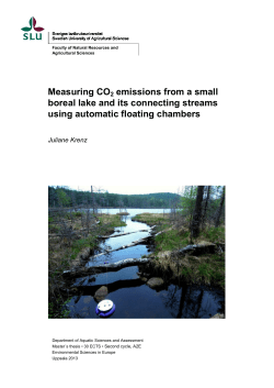 Measuring CO2 emissions from a small boreal lake and its