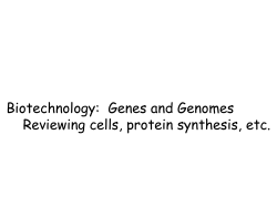 2.3 Chromosome Structure, DNA Replication, and Genomes