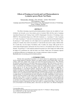 Effects of Pruning on Growth and Leaf Photosynthesis in