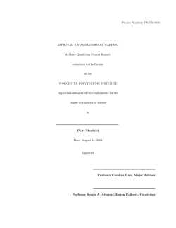 IMPROVED TWO-DIMENSIONAL WARPING