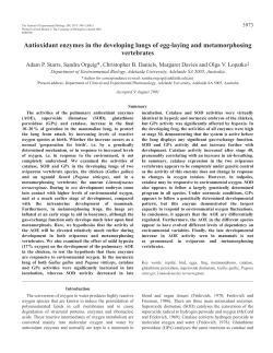 Pulmonary antioxidant enzymes in vertebrates