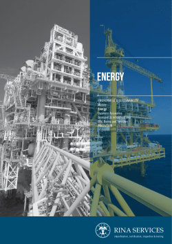 eNERGY - Rina Services