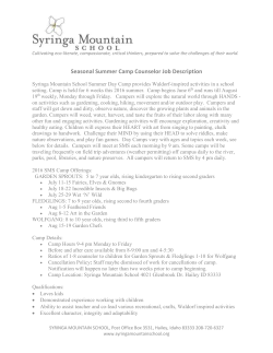 Seasonal Summer Camp Counselor Job Description