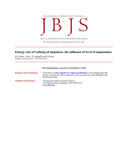 Energy cost of walking of amputees: the influence of level of