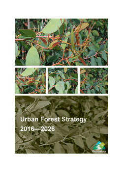 Draft Urban Forest Strategy