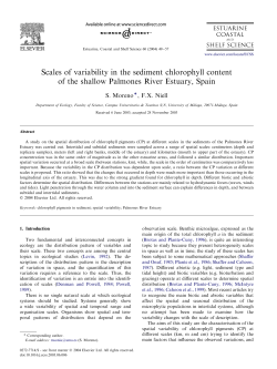 Scales of variability in the sediment chlorophyll content of the