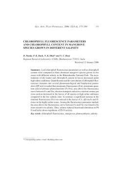 Za PDF 004BAN 1-2_2006.pmd