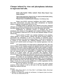 Changes induced by virus and phytoplasma infections in