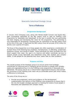 Newcastle Gateshead Strategic Group Terms of