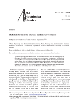 Multifunctional role of plant cysteine proteinases