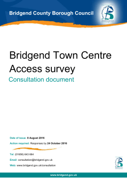 Consultation document - Bridgend County Borough Council