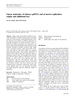 Linear molecules of tobacco ptDNA end at known replication origins