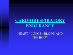 Cardiorespiratory Endurance