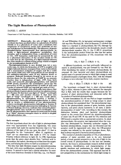 The Light Reactions of Photosynthesis