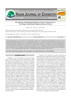 Investigation of Denitrifying Phosphorus Removal Organisms in a