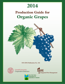 Organic Grapes - Cornell Cooperative Extension of Ulster County