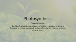 Photosynthesis