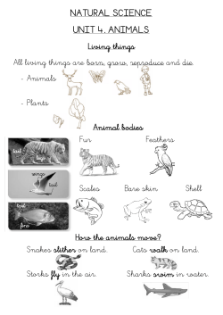Living things All living things are born, grow, reproduce and die