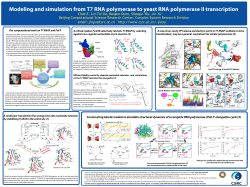 Beijing Computational Science Research Center, Complex System