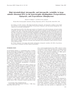 subunit ribosomal DNA in the heterotrophic dinoflag