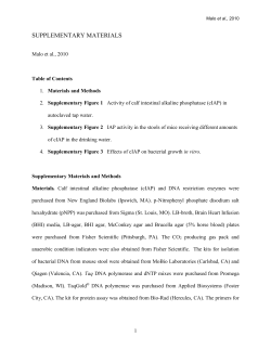 Mice Deficient in Intestinal Alkaline Phosphatase Exhibit