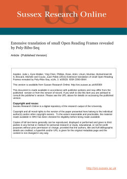Extensive translation of small Open Reading Frames revealed by