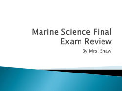 MS Final Exam Review